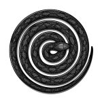 Spiralling snake art print hyprints street culture inspired art and home goods