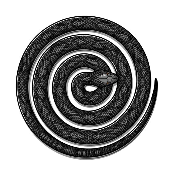 Spiralling snake art print hyprints street culture inspired art and home goods